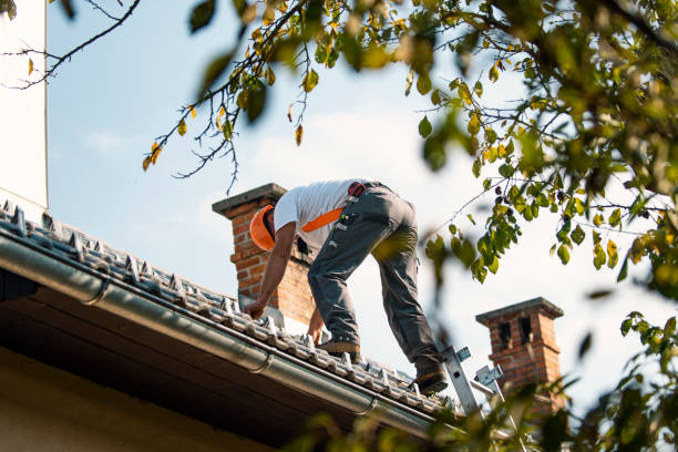 Best Tile Roofing Contractor  in Los Luceros, NM
