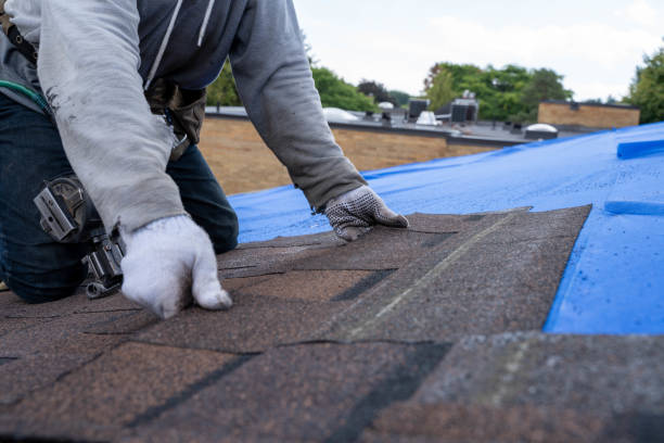Best Commercial Roof Installation  in Los Luceros, NM